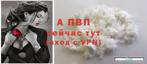 ПСИЛОЦИБИНОВЫЕ ГРИБЫ Пересвет
