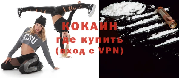 дживик Переславль-Залесский