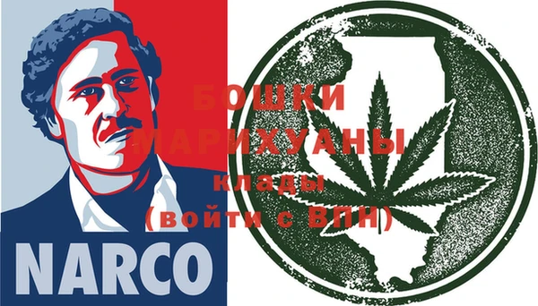 ПСИЛОЦИБИНОВЫЕ ГРИБЫ Пересвет