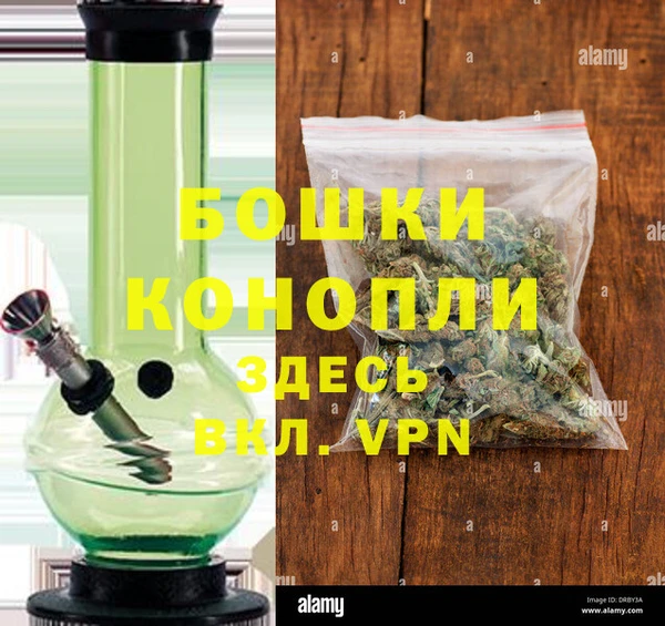 ПСИЛОЦИБИНОВЫЕ ГРИБЫ Пересвет