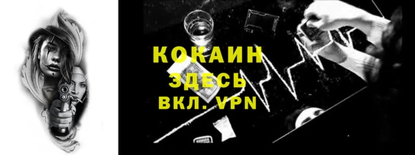 дживик Переславль-Залесский