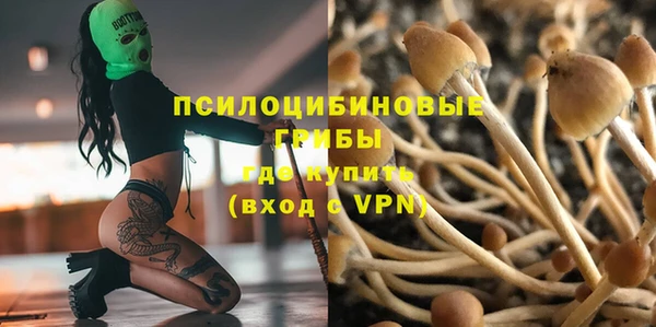 ПСИЛОЦИБИНОВЫЕ ГРИБЫ Пересвет