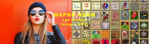 ПСИЛОЦИБИНОВЫЕ ГРИБЫ Пересвет