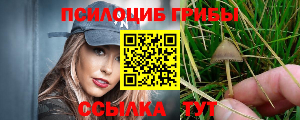 Галлюциногенные грибы мухоморы Кимры