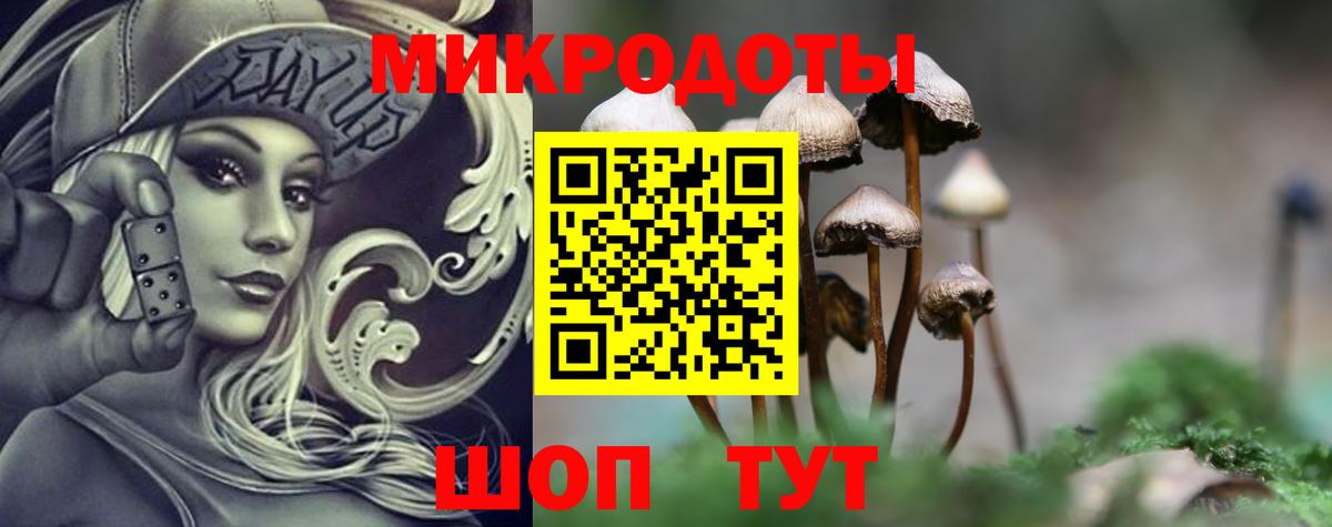 купить наркотик  Галлюциногенные грибы Psilocybe  Вход с VPN  Кимры 